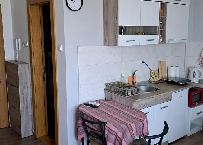 Katarina 소코 반자