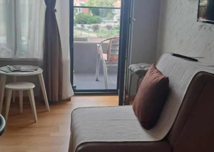 Katarina * 소코 반자